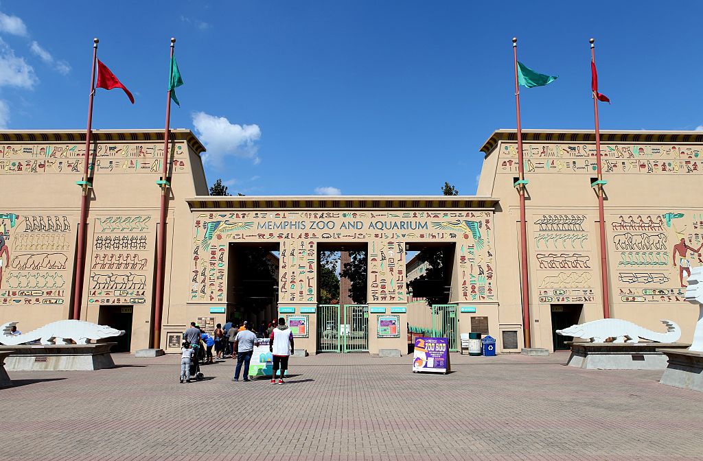 Memphis Zoo Lights 2020