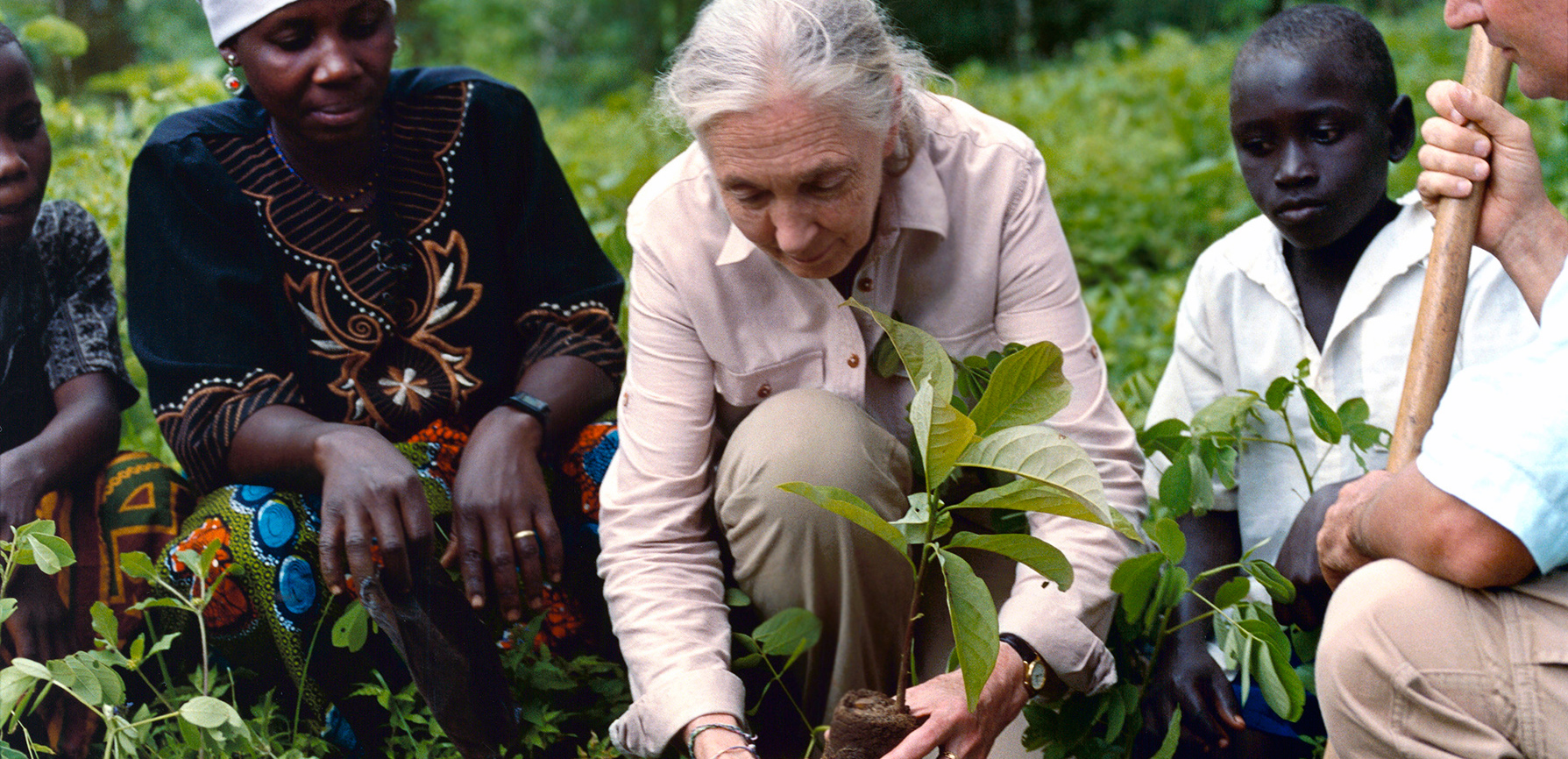 Jane Goodall's New Effort to Plant Trees and Restore Forests TIME