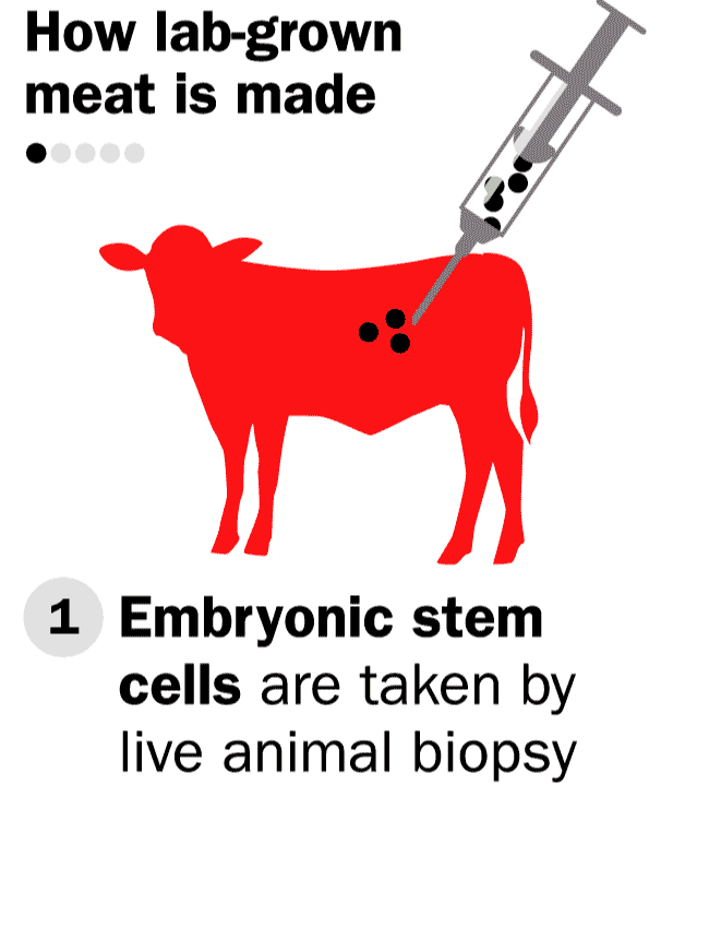 Exclusive Where's the Beef? Not in this steak USA Daily Dose