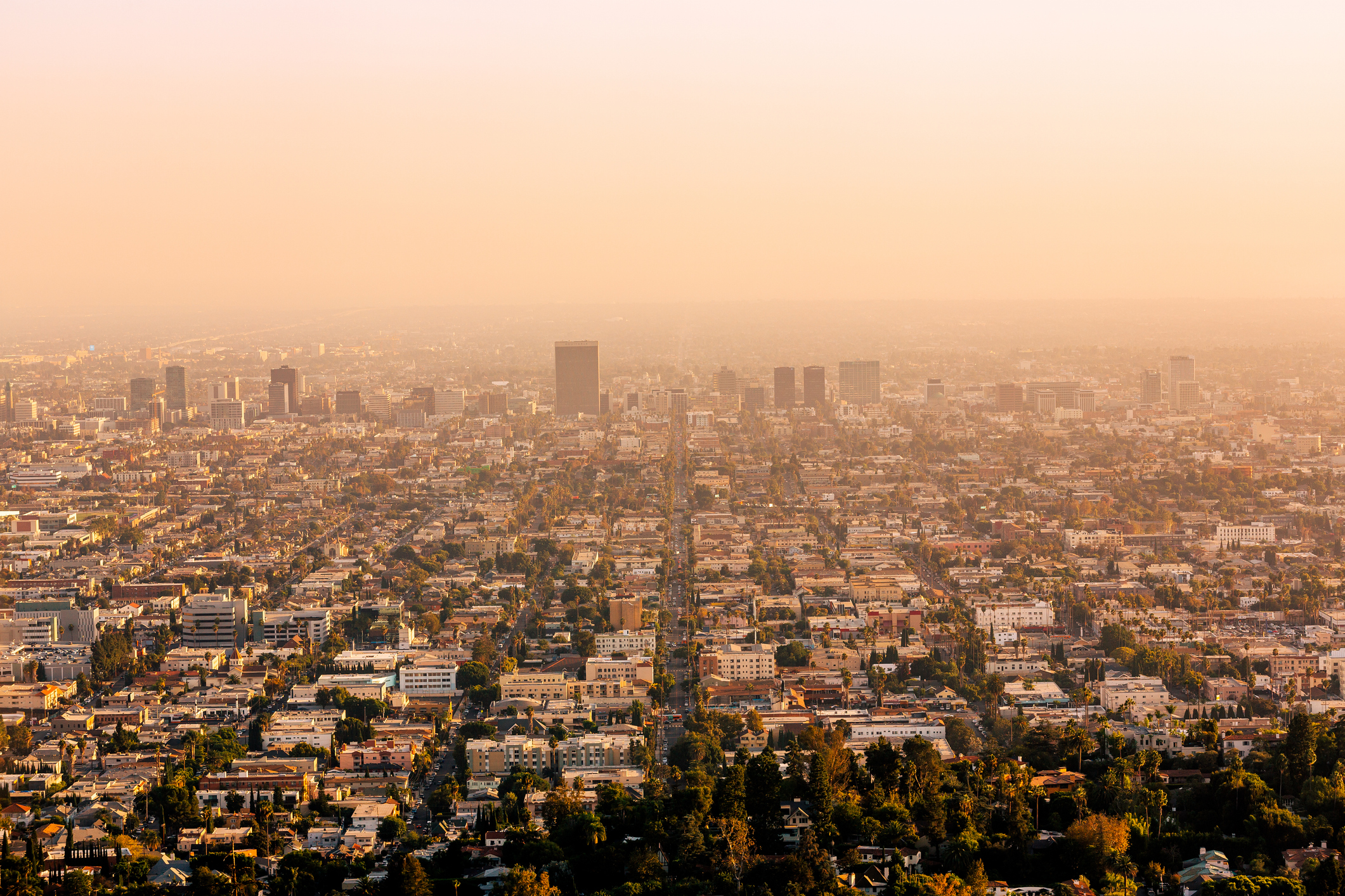 5 Takeaways From the 2023 World Air Quality Report TIME