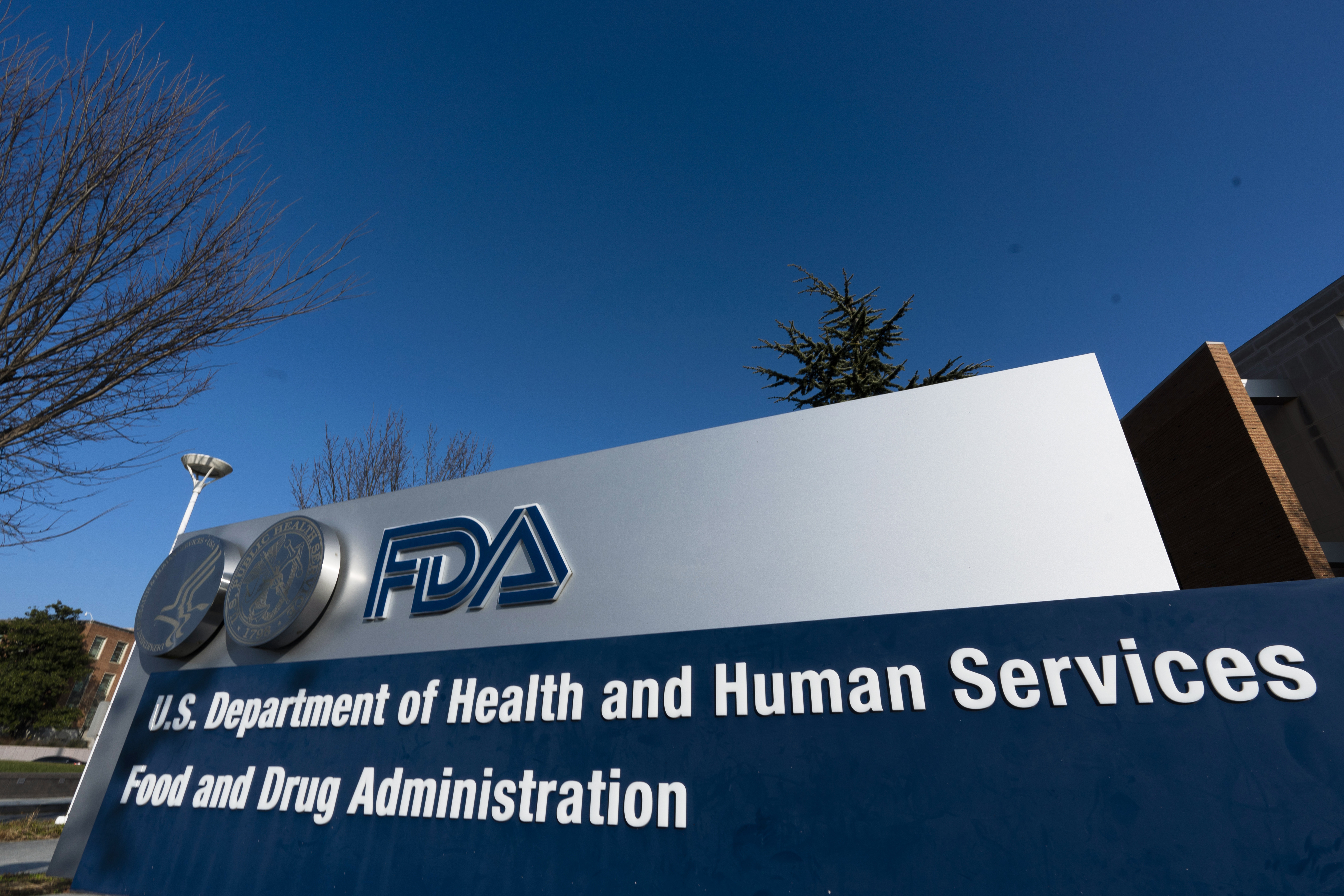 FDA Denies MDMA as Treatment for PTSD
