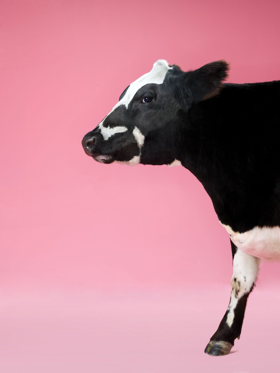 secondary_title The 200 Best Inventions of 2024 TIME