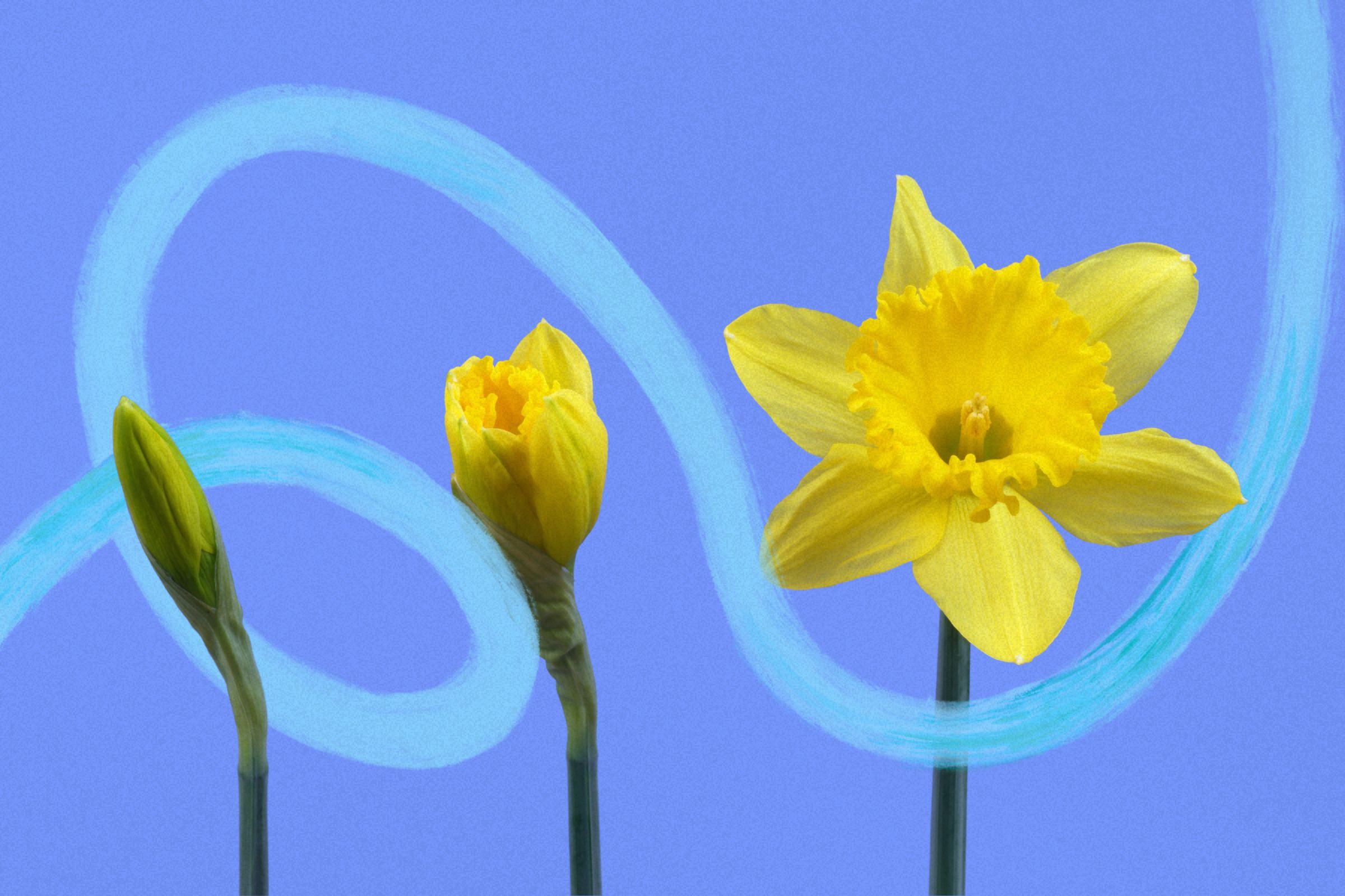 10 Nudge Phrases to Undertake in 2026