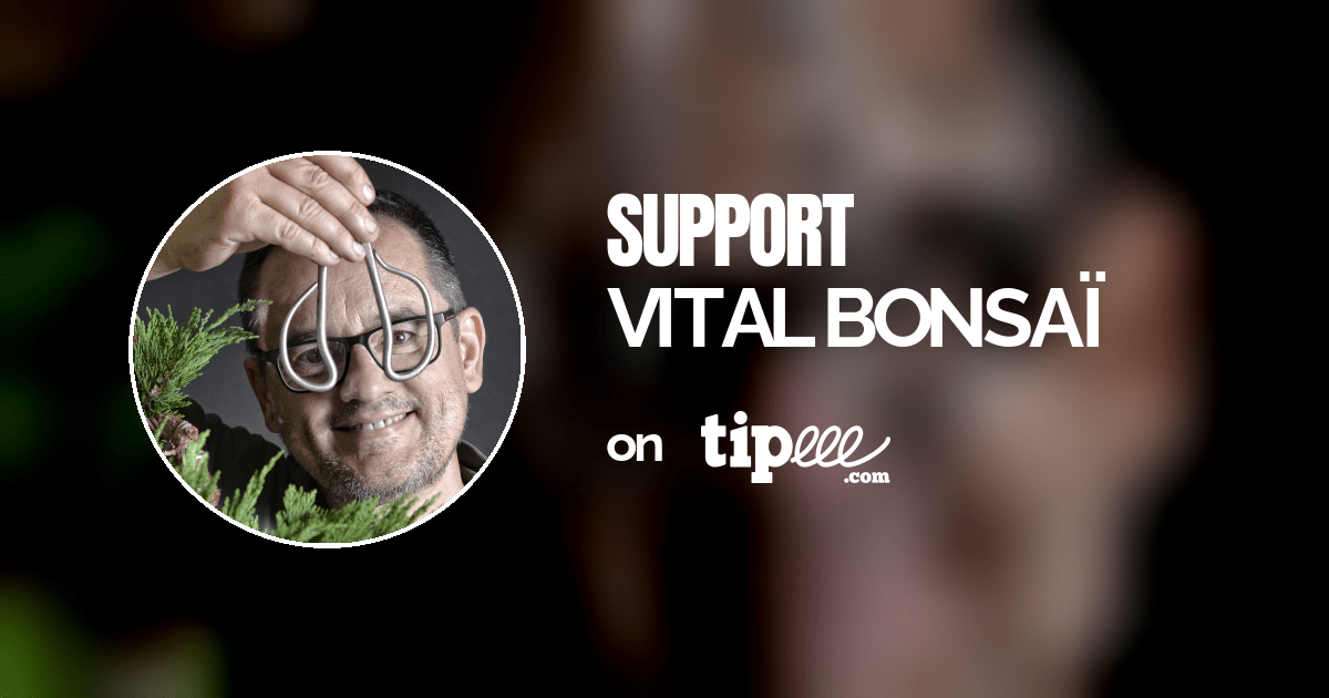 VITAL BONSAÏ Tipeee