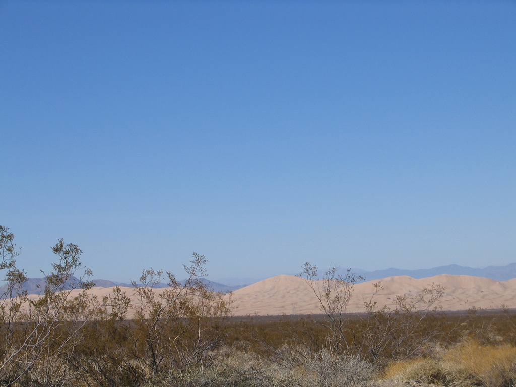 Kelso Dunes Mojave National Preserve in Kelso, California Kid