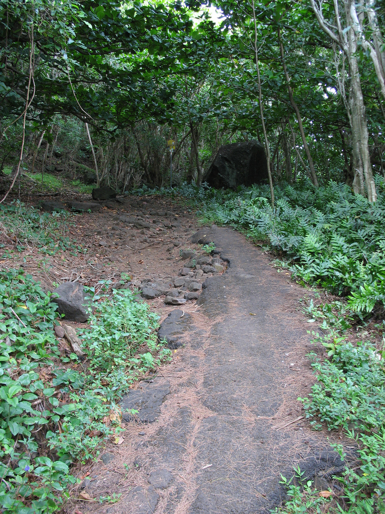 Kaumana Cave in Hilo, Hawaii Kidfriendly Attractions Trekaroo