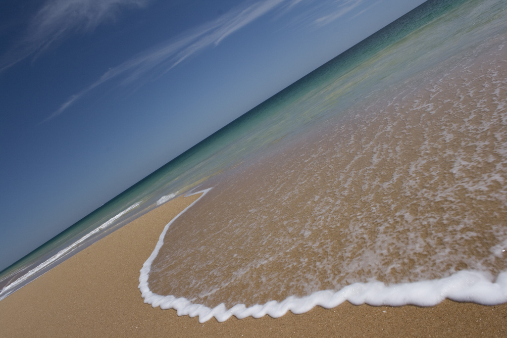 James Kealoha Park in Hilo, Hawaii Kidfriendly Attractions Trekaroo