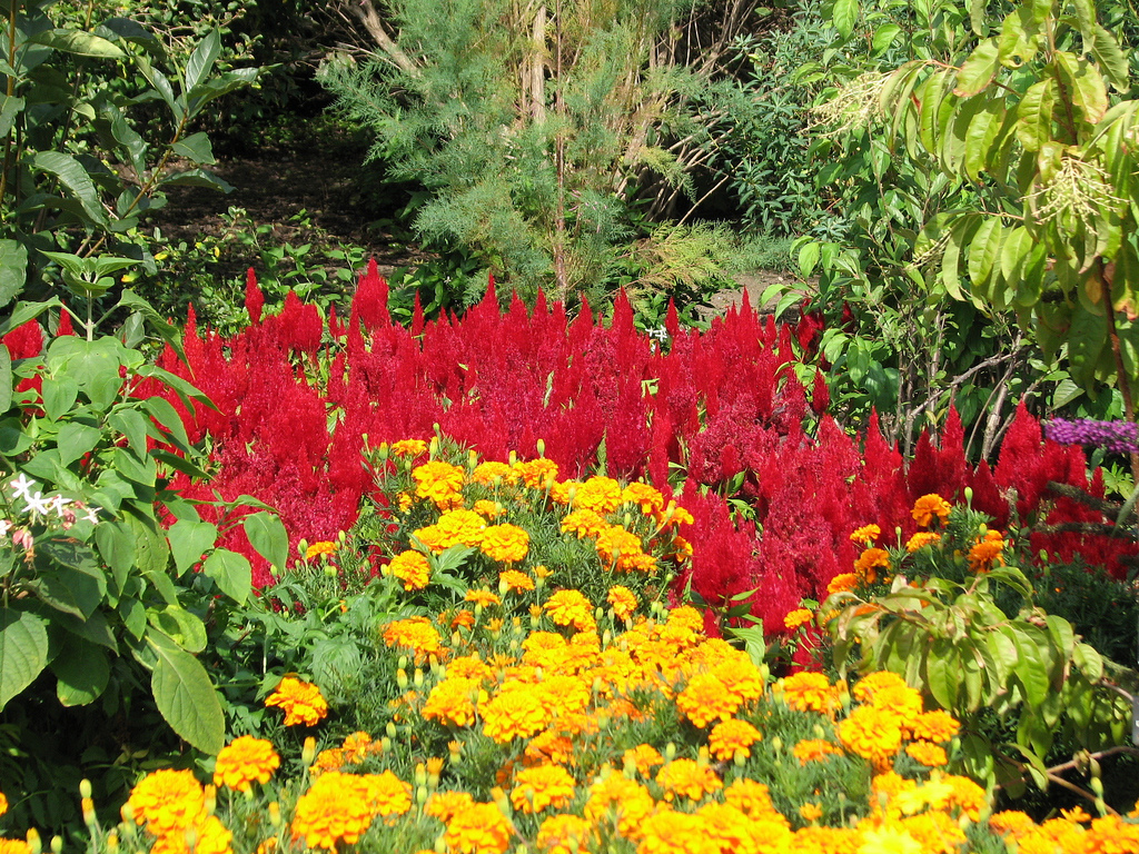 Buffalo and Erie County Botanical Gardens in Buffalo, New York Kid