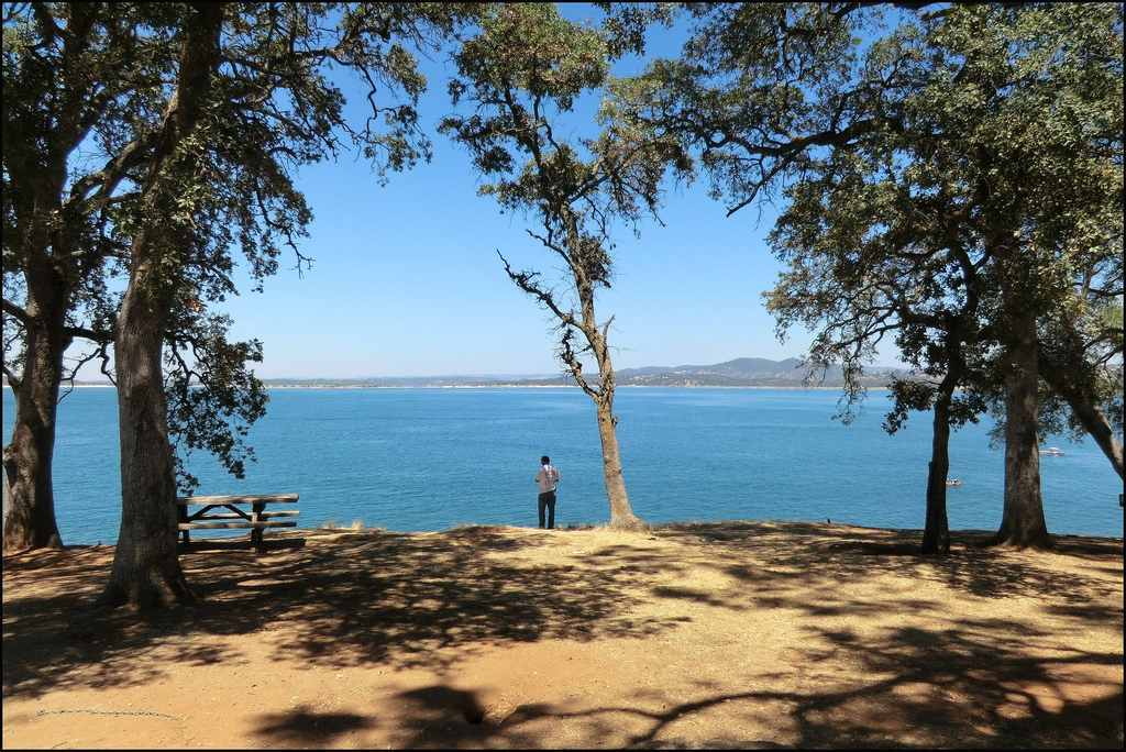 Folsom Lake in Folsom, California Kidfriendly Attractions Trekaroo