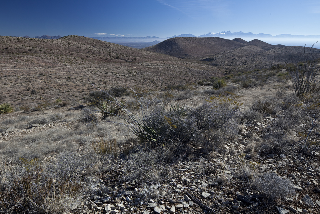 Prehistoric Trackways National Monument in Las Cruces, New Mexico Kid