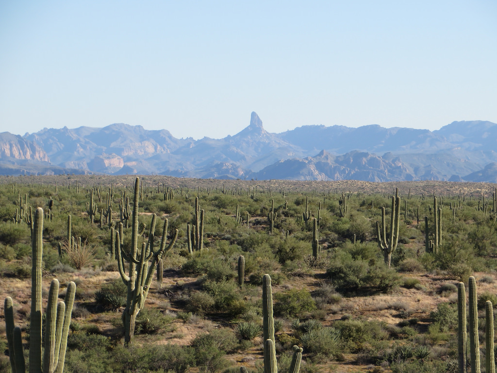 Peralta Canyon Trail in Apache Junction, Arizona Kidfriendly