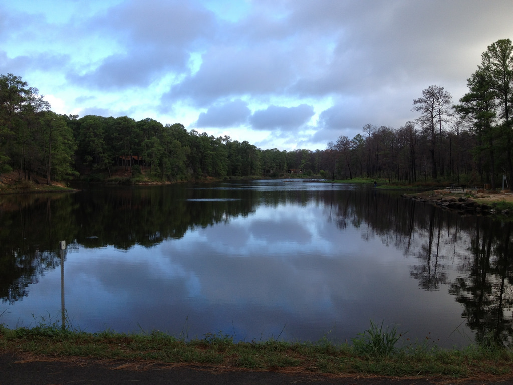 Bastrop State Park in Bastrop, Texas Kidfriendly Attractions Trekaroo