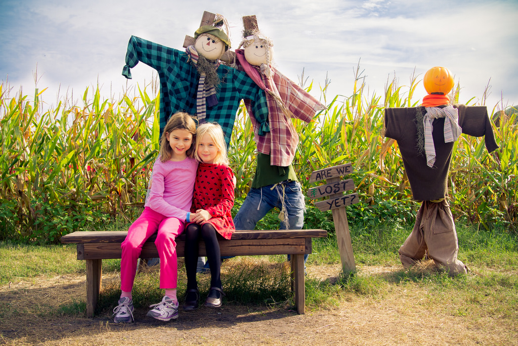 Rogers Farm Corn Maze in Gainesville, Florida Kidfriendly