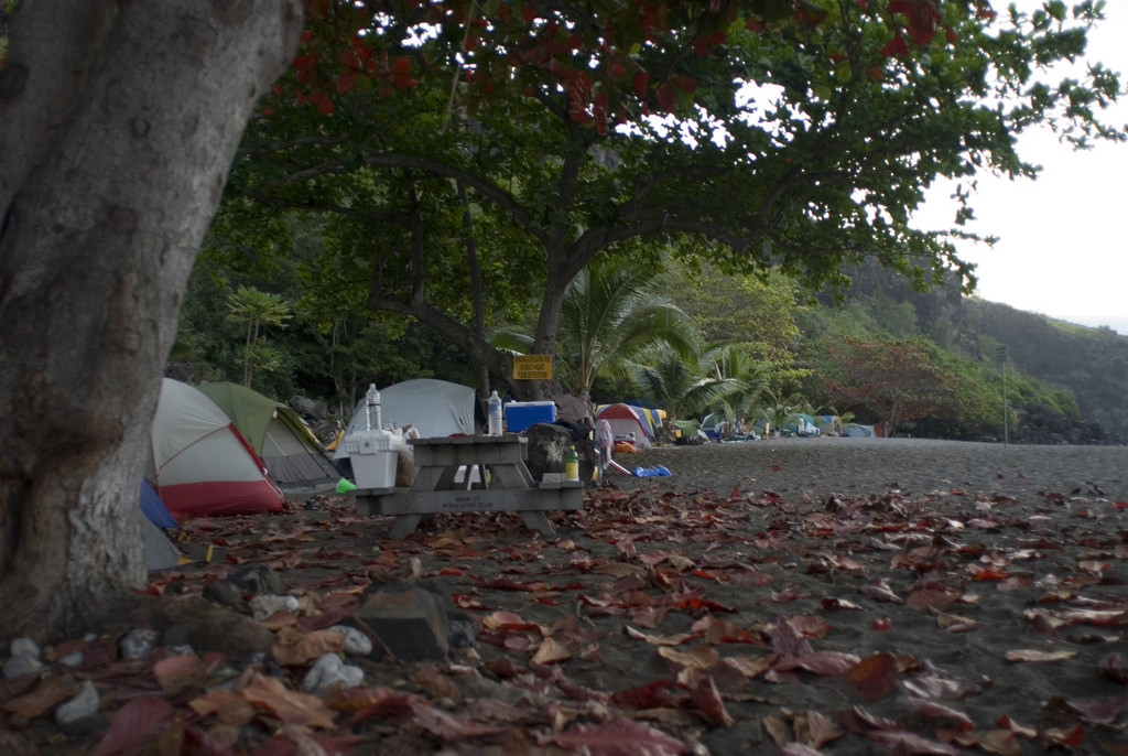 Ho'Okena Beach Park in Kailua Kona, Hawaii Kidfriendly Attractions