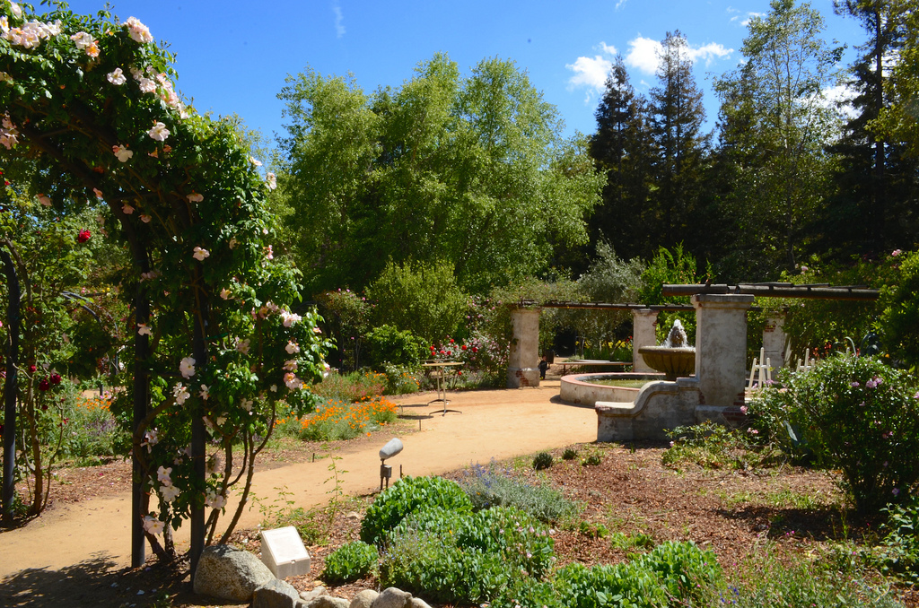Descanso Gardens in La Canada Flintridge, California Kidfriendly