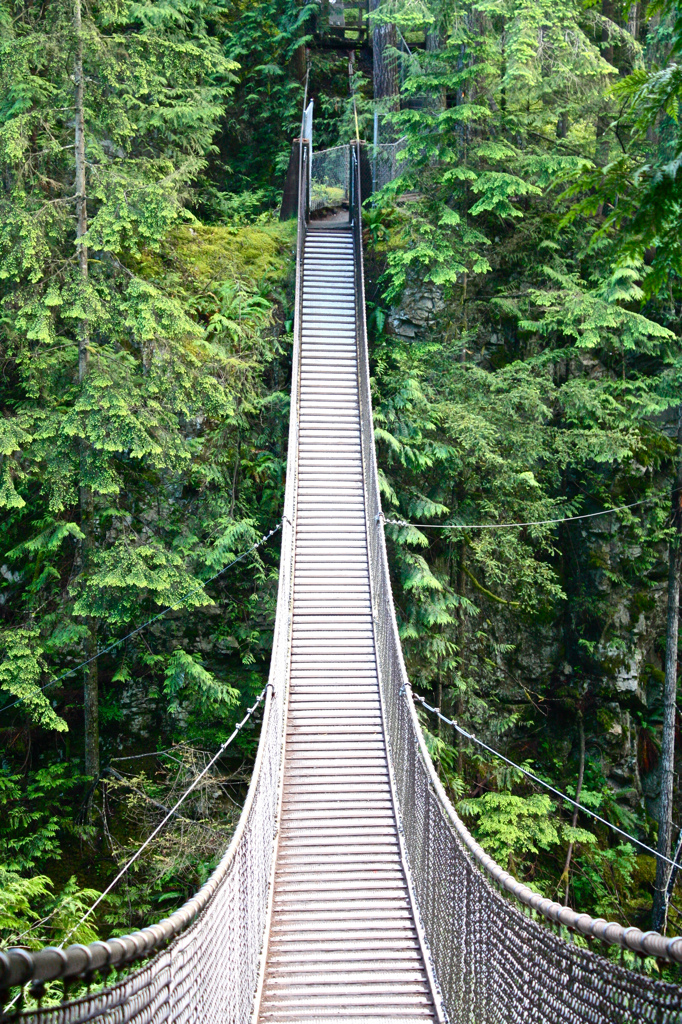 Lynn Canyon Park & Suspension Bridge in North Vancouver, British Columbia Kidfriendly