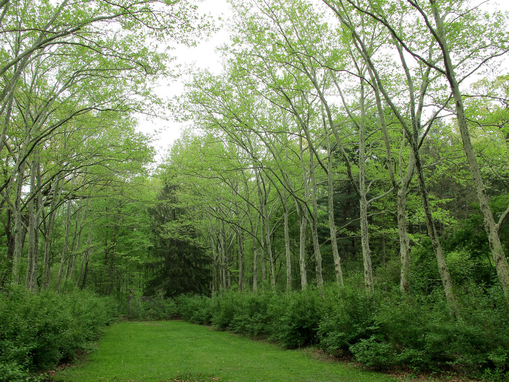 Greenwood Gardens in Millburn, New Jersey Kidfriendly Attractions