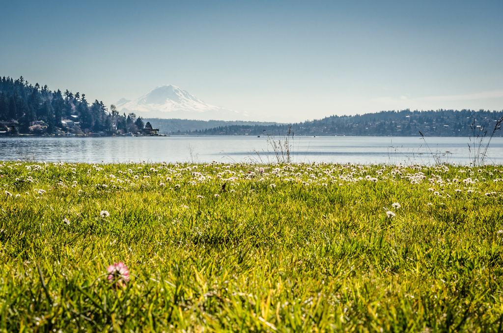 Seward Park in Seattle, Washington Kidfriendly Attractions Trekaroo