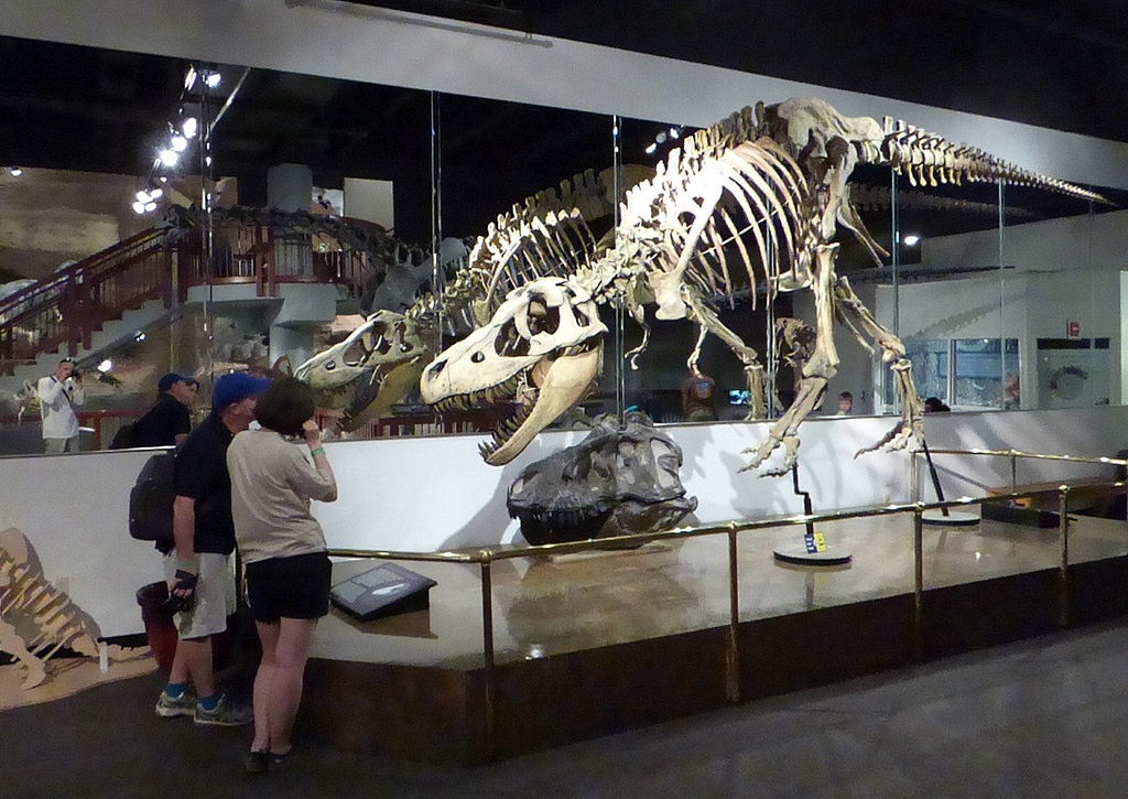 Prehistoric Dinosaur Encounters in Arizona Trekaroo