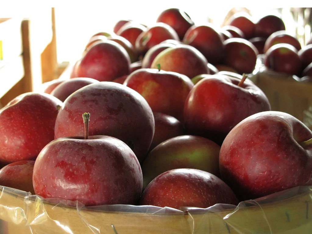 Wright's Apple Farm in Gardiner, New York Kidfriendly Attractions