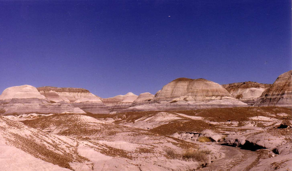 El Rancho Restaurant & Motel in Holbrook, Arizona Kidfriendly