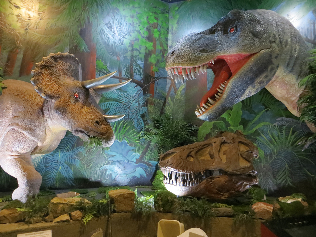 Dinosaur Journey Museum in Fruita, Colorado Kidfriendly Attractions