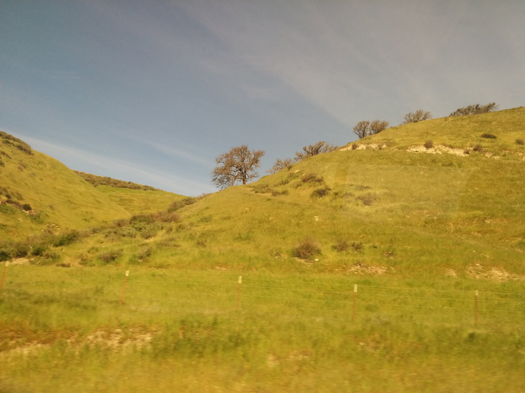 Beards Circle Pine Ranch in Bradley, California Kidfriendly