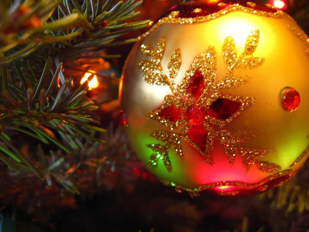 Christmas Tree Farms near Chicago, Illinois Trekaroo