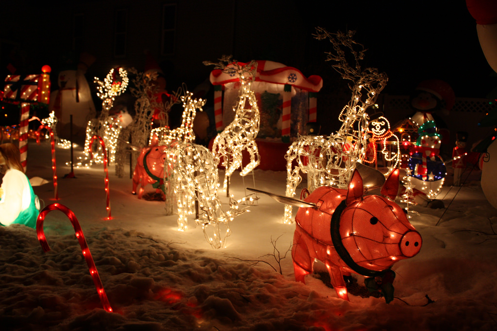 Holiday Lights in New Jersey Trekaroo