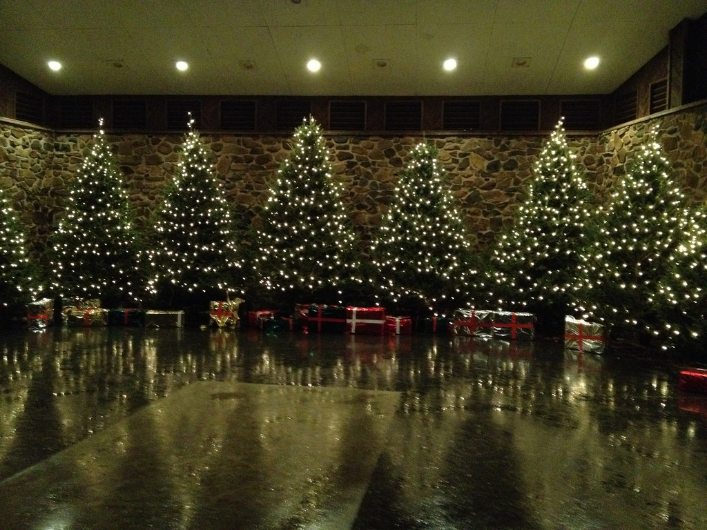 Hubbard Park Lights 2024 Issy Rhodia