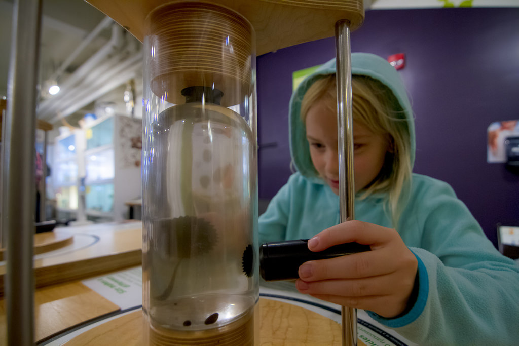 Science and Technology Museums in Maine Trekaroo