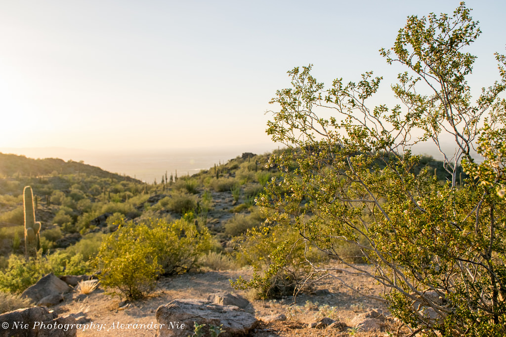 Mountain Vista Park in Phoenix, Arizona Kidfriendly Attractions