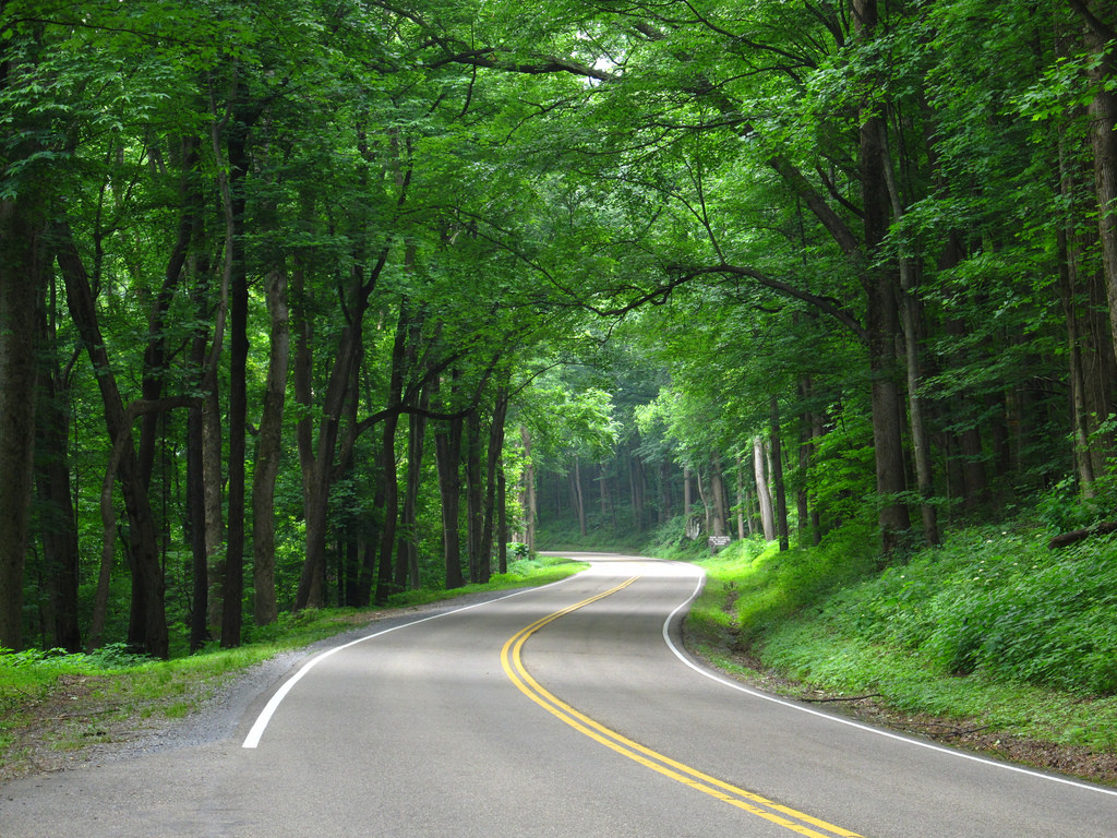 Best of Eastern Tennessee and the Great Smoky Mountains with Kids