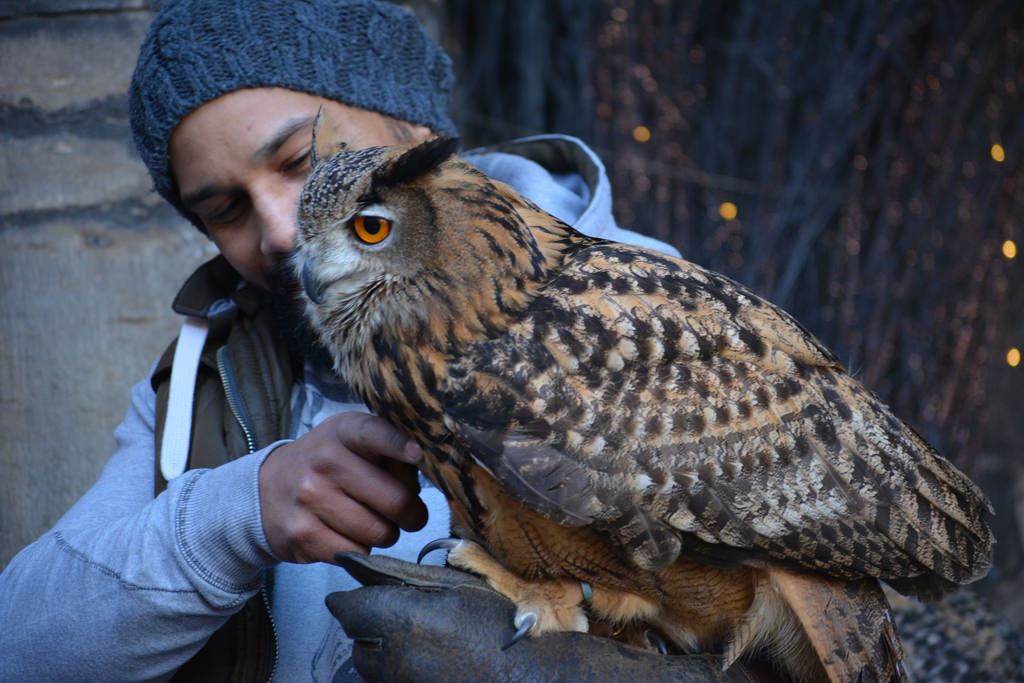 Audubon Center of the North Woods in Sandstone, Minnesota Kid
