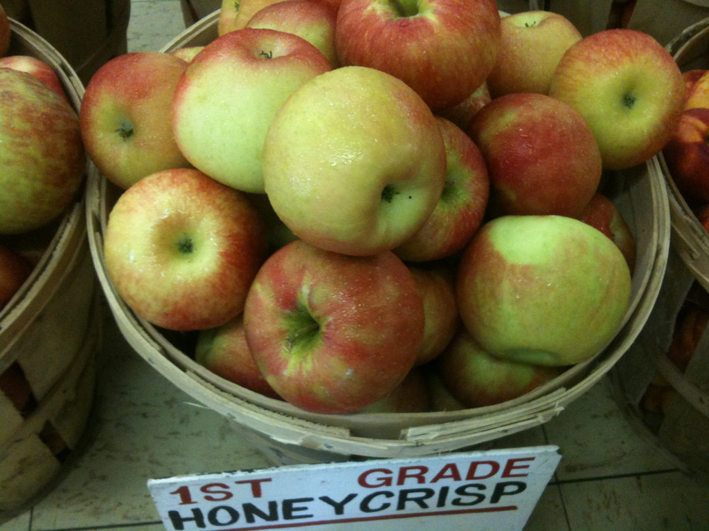 Apple Picking Orchards in Wisconsin Trekaroo