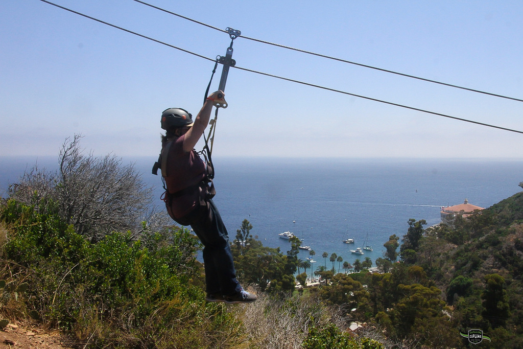 Catalina Zip Line Eco Tour in Avalon, California Kidfriendly