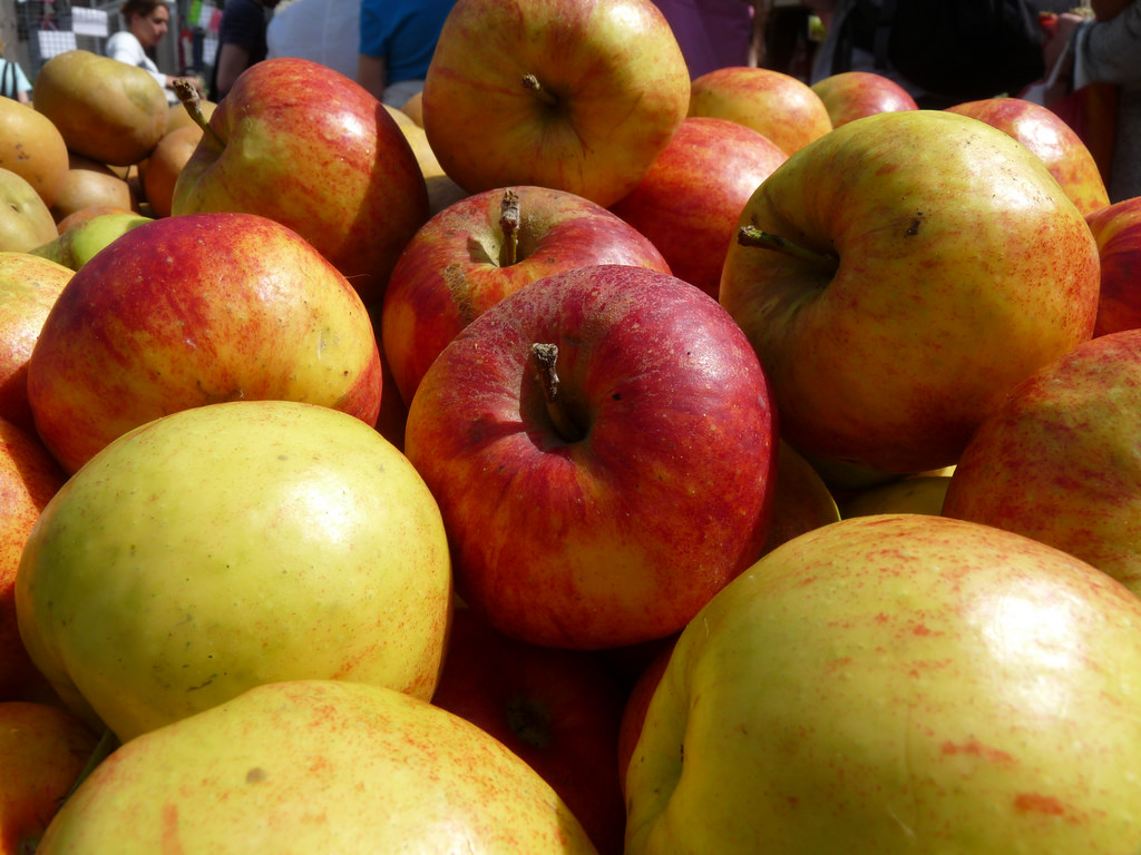 Brown's Orchard & Farm Market in Loganville, Pennsylvania Kid