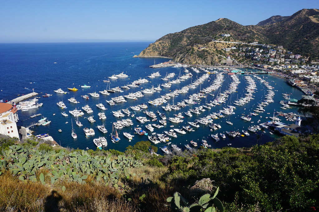 Top Activities on Catalina Island Trekaroo