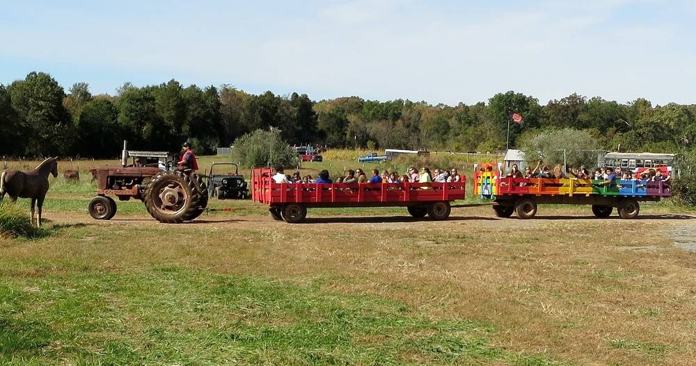 Pumpkin Patches, Farms and Harvest Festivals in Virginia Trekaroo