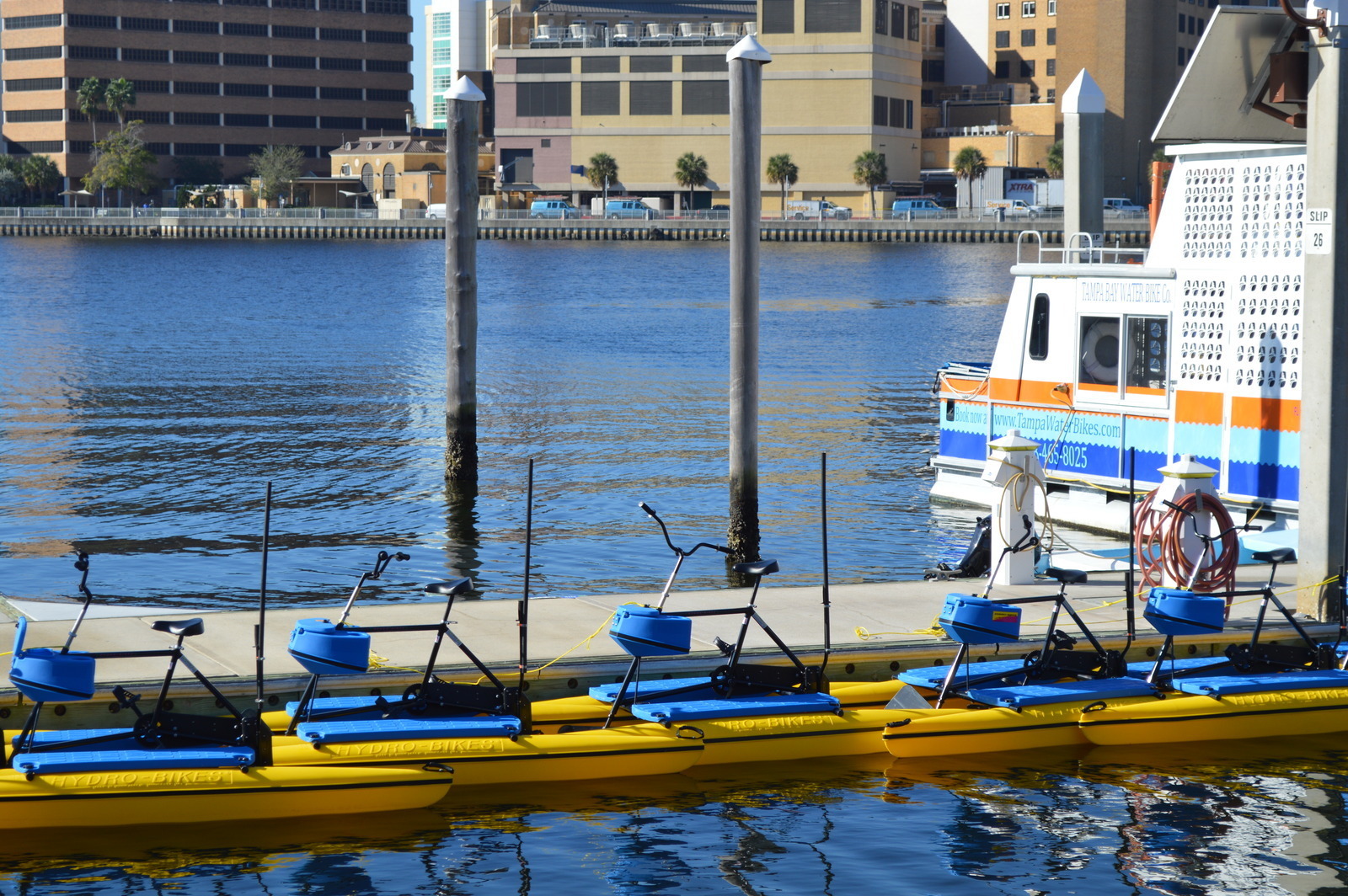 Tampa Bay Water Bike Company in Tampa, Florida Kidfriendly