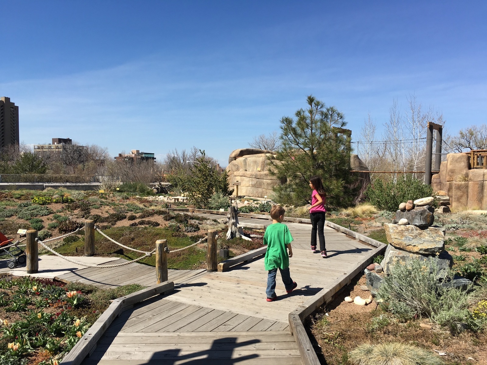 Denver Botanic Gardens in Denver, Colorado Kidfriendly Attractions