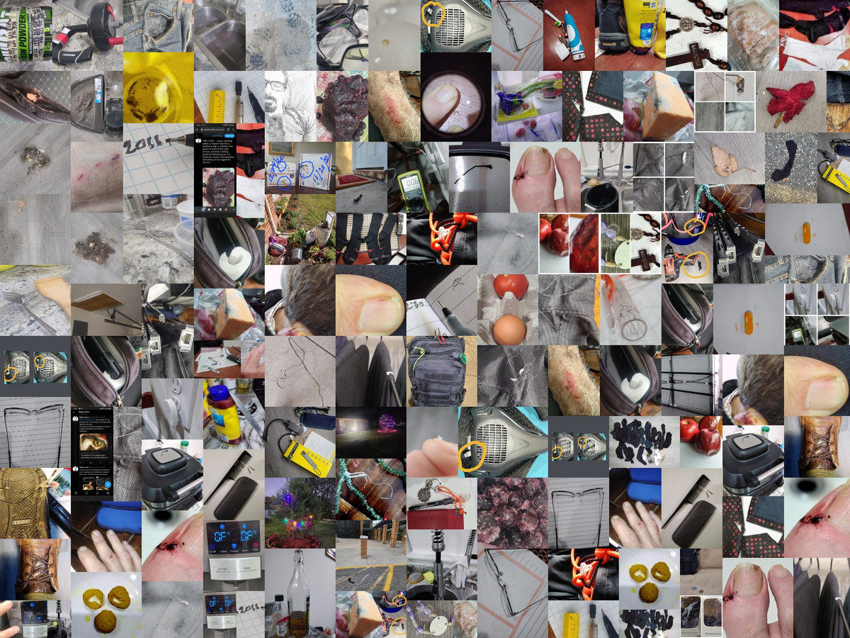 Blackbag Jobs Ruben Caro