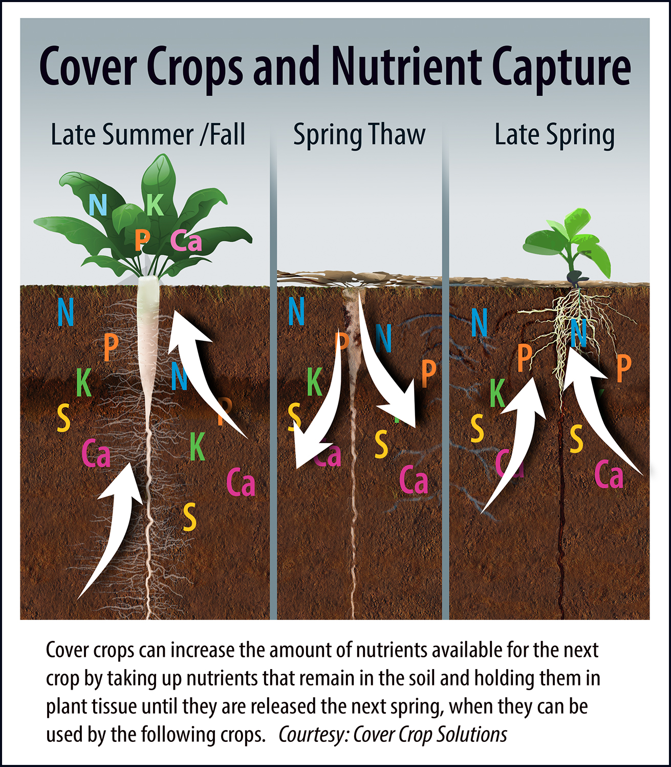 Soybean Farmers Attest to CoverCrop Benefits