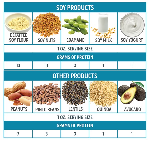 Soy Beans A Complete Protein at Isabel Tovar blog