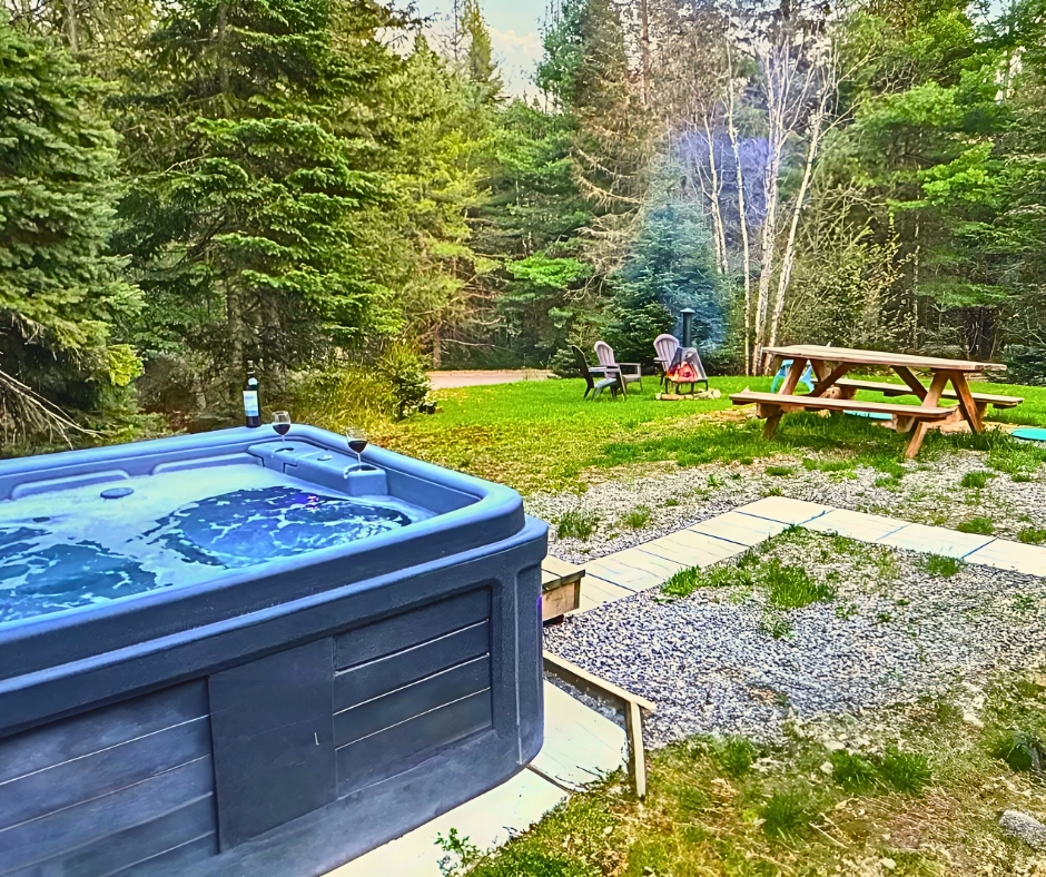 LE GALANT Chalet rustique au bord du lac Chalet for rent in Sainte