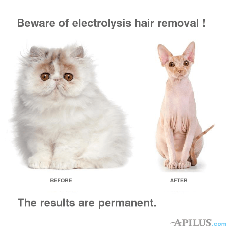 IS ELECTROLYSIS SAFE? Apilus