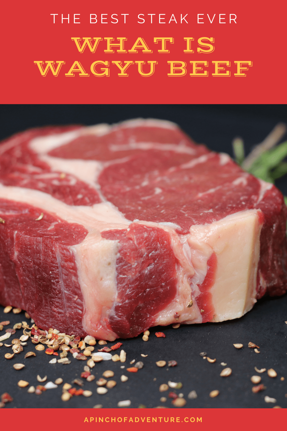 What is Wagyu Beef? PLUS Where to Buy Wagyu Beef A Pinch of Adventure