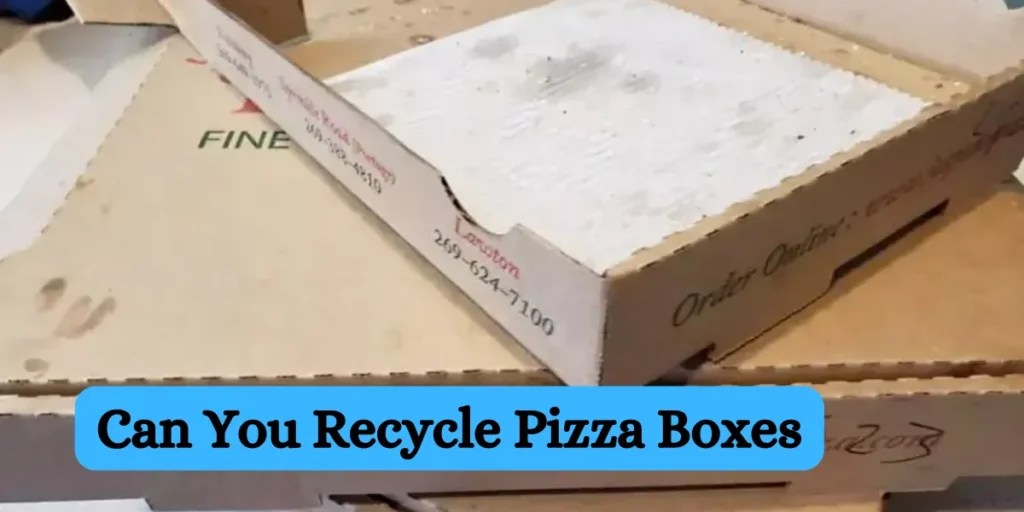 Tips and Guidelines for EcoFriendly ChoicesBuddy Packaging