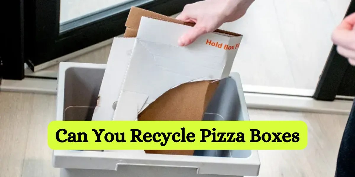 Tips and Guidelines for EcoFriendly ChoicesBuddy Packaging