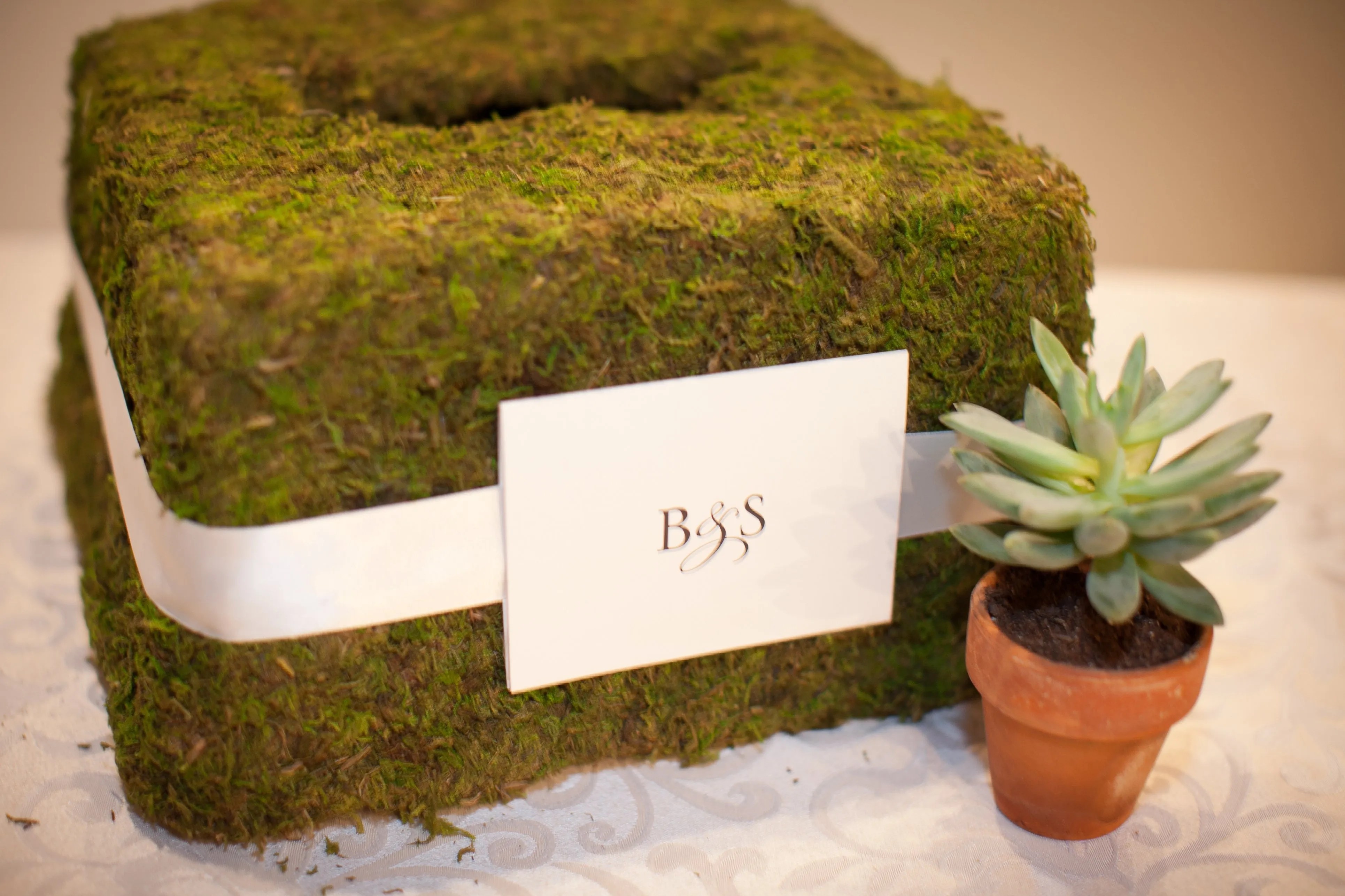 MossCovered Card Box